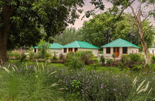 Sawai Madhopur Hotel | ZANA Luxury Forest Resort, Ranthambore