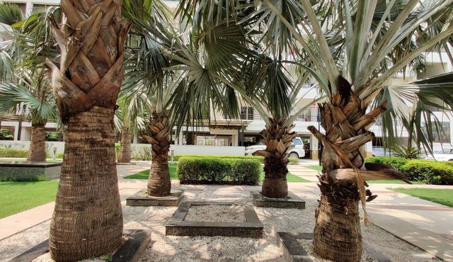 Anand's Aashiyana Homestay