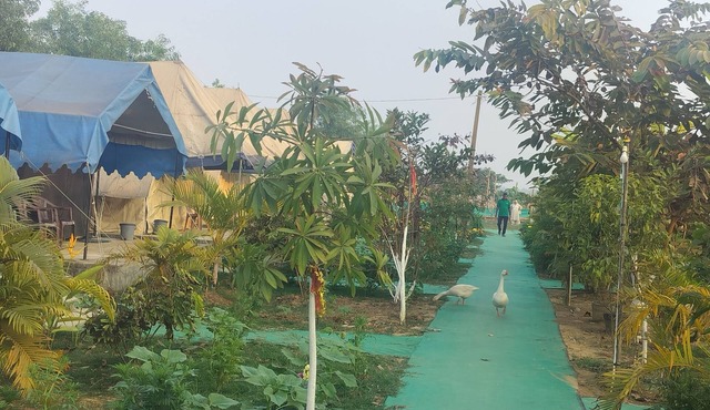 Bhitarkanika Eco Resorts