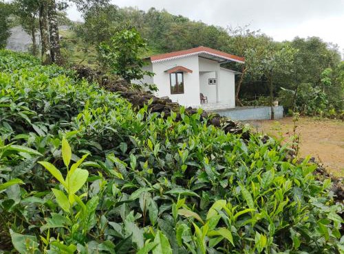 Cloud Cabin vagamon