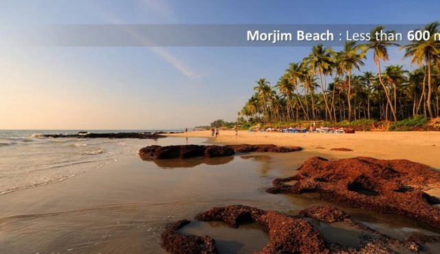 Crazy Homes Stay near Ashvem Beach/Goa