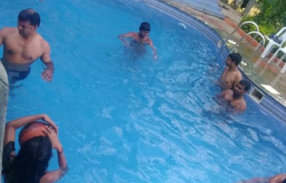 Dolphin resort
