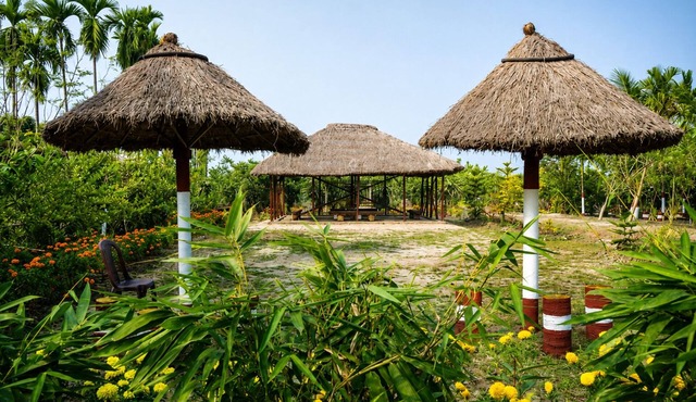 Dragon Fruit Farm Stay