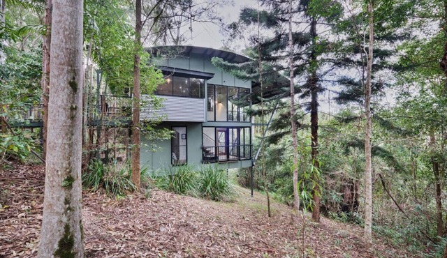 Ecoasis Forest Chalet: Romantic Rainforest Retreat