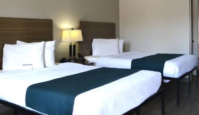 Efficient Unit Ideal for Families & Groups Traveling | Pet-Friendly in Chattanooga