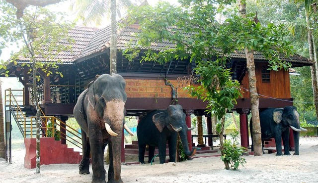 Elephant Courtyard- A Heritage Homestay