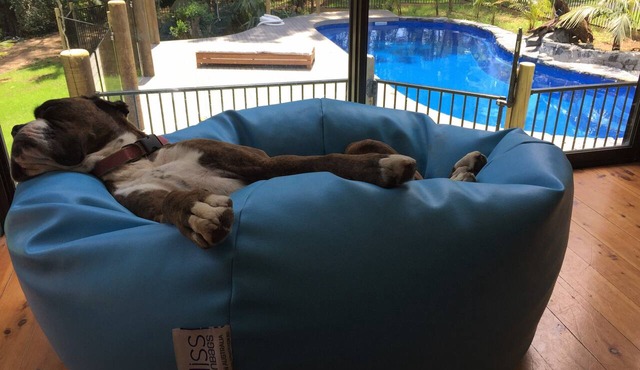 EV-Friendly Dog Friendly Beachside Stay - Pool+Firepit