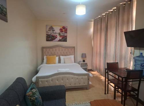 Executive Express Rooftop Pool suites- Ngara in Nairobi