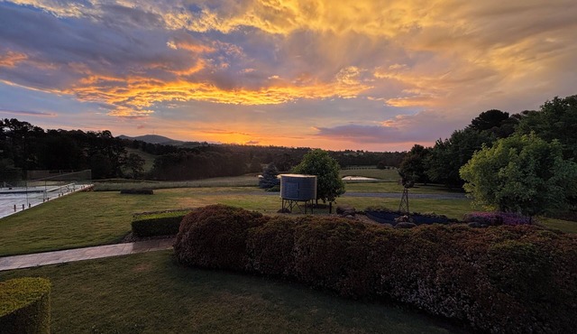Farmhouse on the mountain surrounded by wineries. Dog friendly!