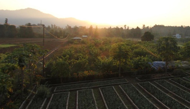 Forest Side Farm - Homestay at Kotabagh Near Nainital and Jim Corbett