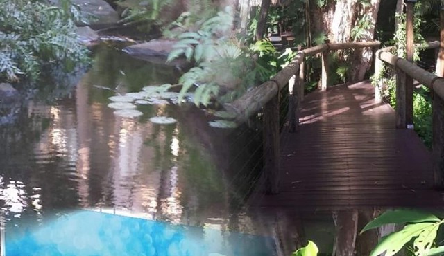 ! Get Ready - Get Set - To - Relax @ 104 Ramada Resort - Free Wi-Fi ! in Port Douglas