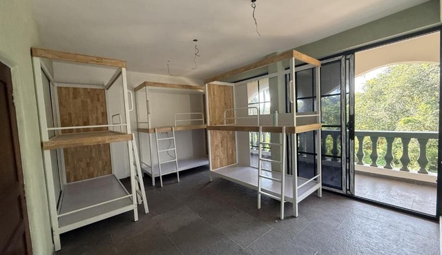 Happy Panda Hostel Arambol Goa in Arambol