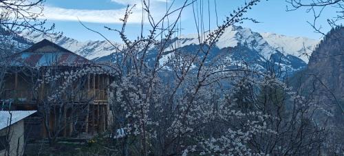 Ikigai homestay