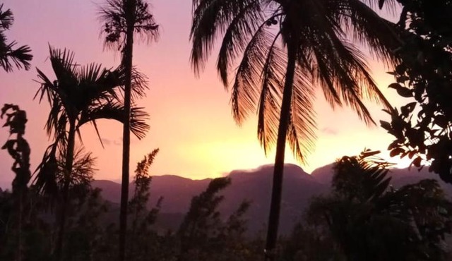JK Nature Resort Kanthalloor