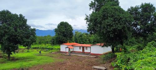 Kittu's Farm