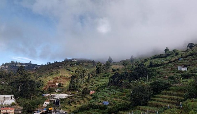 Kodai Breeze