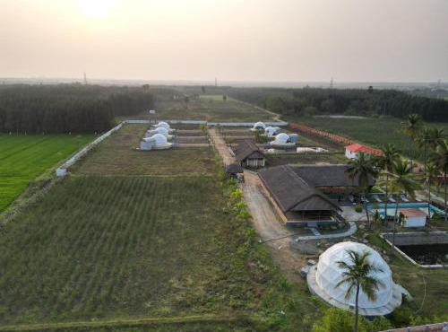 Mandarai