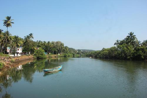 Mayonna Creek Side