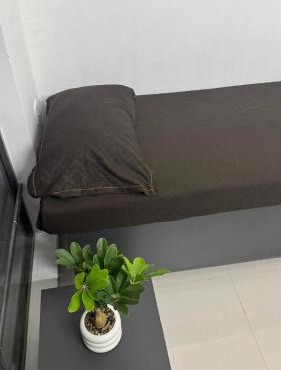 Modern 3BHK Retreat With Ample Space & Comfort