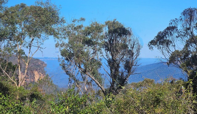 MOUNTAIN VIEWS fireplace SPA 5 bedrooms, air-cond, early checkin & late checkout in Wentworth Falls