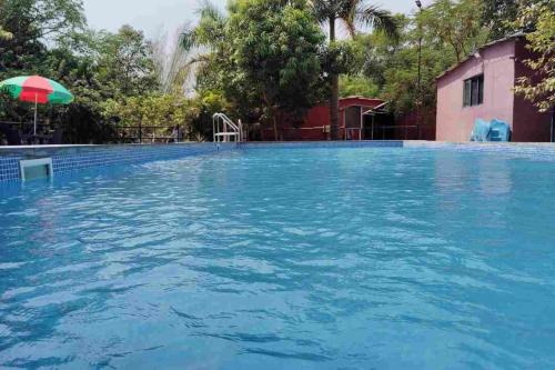 Nature Villa