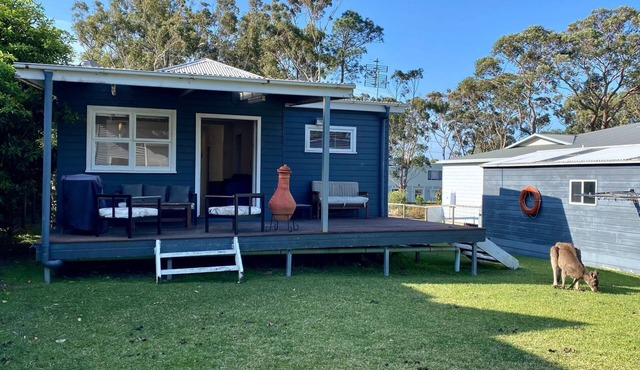 Nautilus in North Bendalong