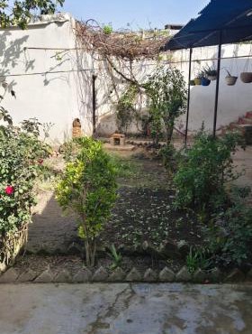 Naveen Homestay
