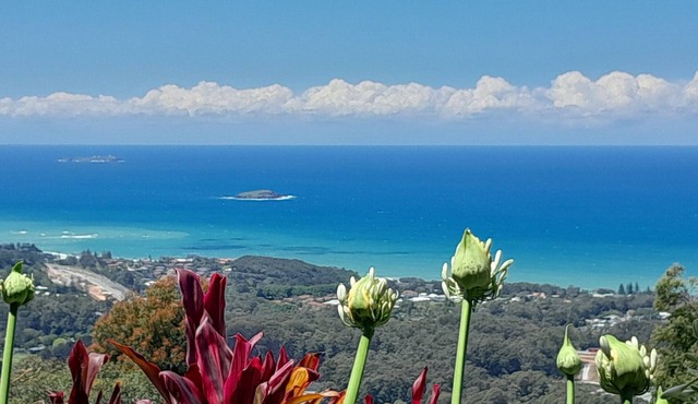 ON TOP OF THE WORLD Garden Studio Panoramic Ocean Views, Close to Town & Beaches