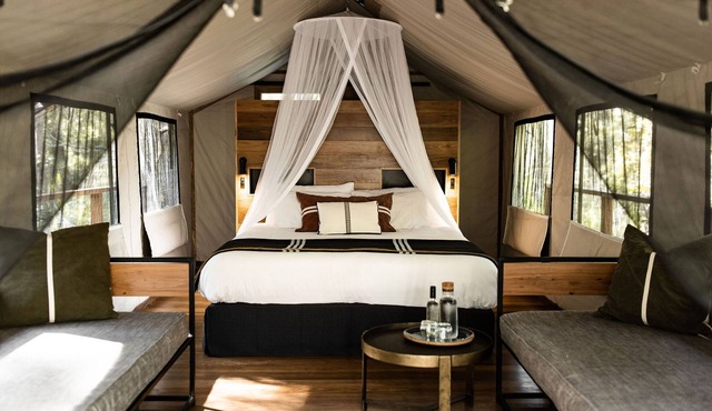 Paperbark Camp