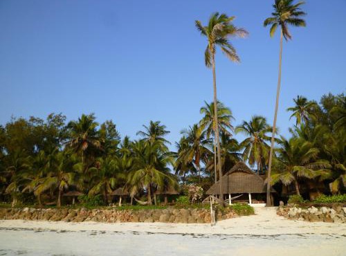 Paradise Beach Bungalows in Paje