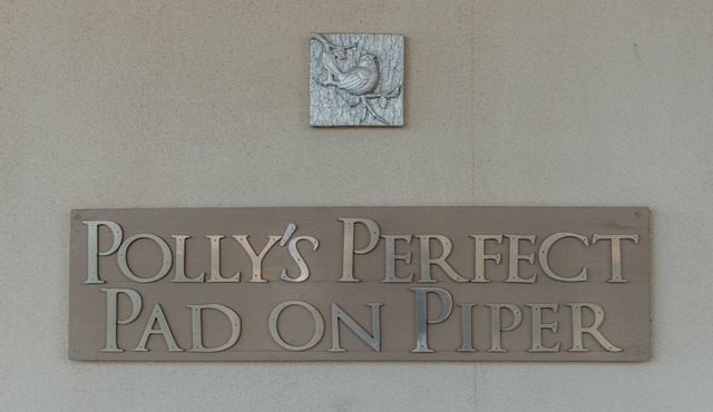 Polly's Perfect Pad on Piper