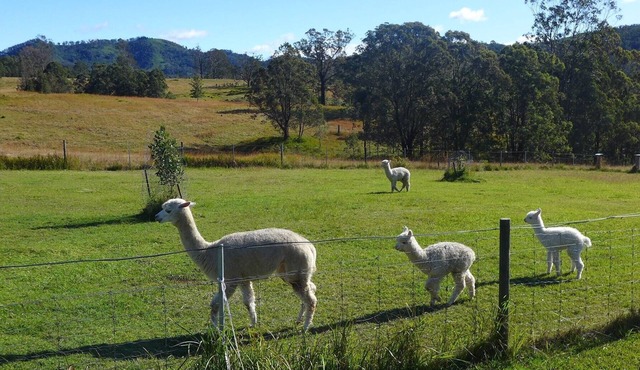 Rural Ambience with Netflix. Two bedrooms / Breakfast incl / Kitchen. Sleeps 4.