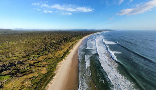 Scotts Head Surf Shax #4 Turquoise