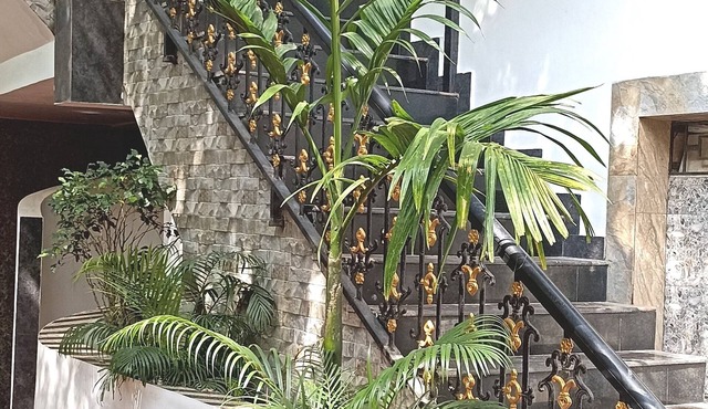 Spicy Bella Resort
