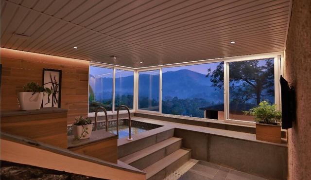 The Violet Thekkady