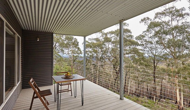 Tree Tops in Mount Wilson