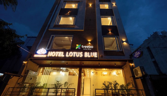 Treebo Lotus Blue