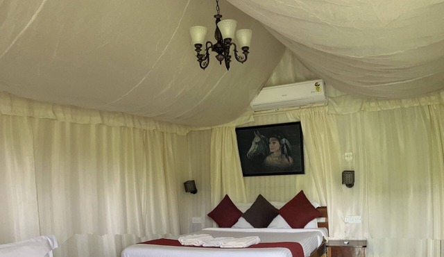 Wilderness Jungle Camp