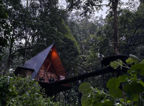 Wildvibes India