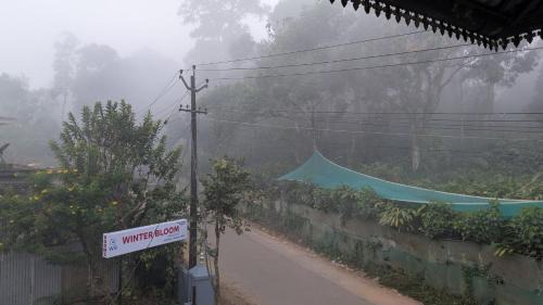 Winter Bloom Homestay Munnar