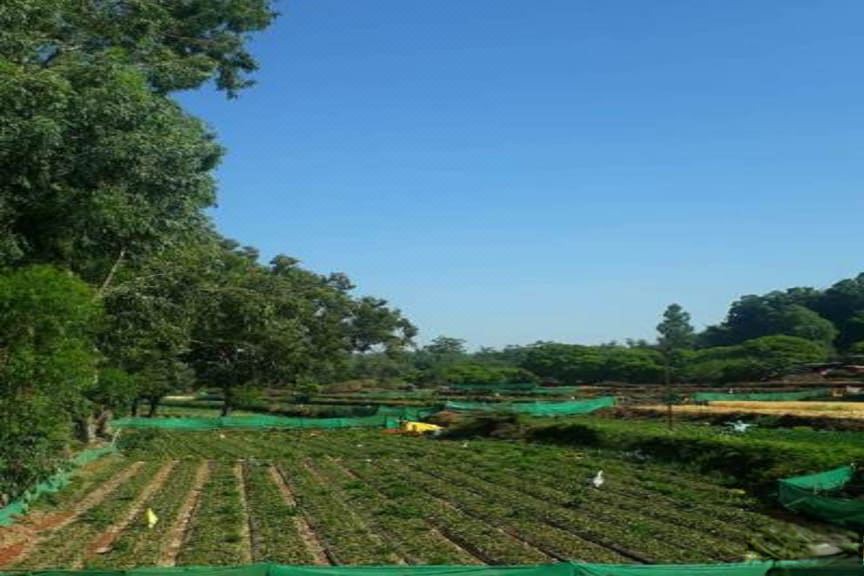 Photo of Outdoor in Gureghar