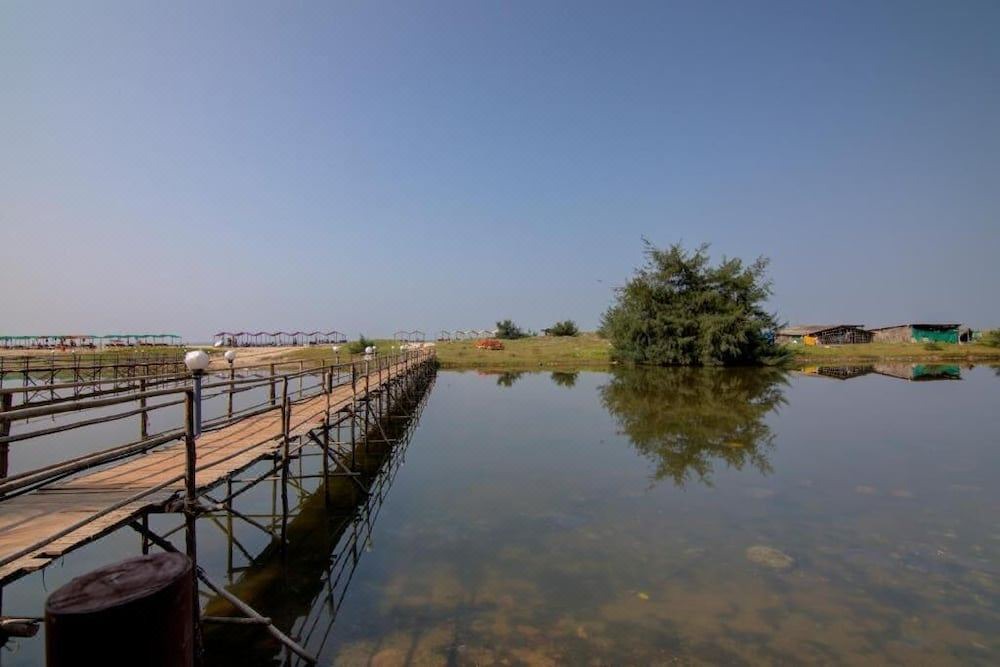 Photo of Outdoor in Mandrem