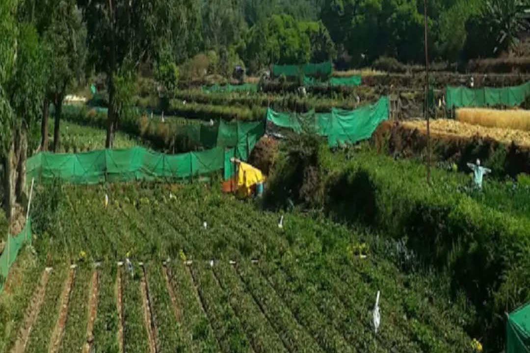 Photo of Outdoor in Gureghar