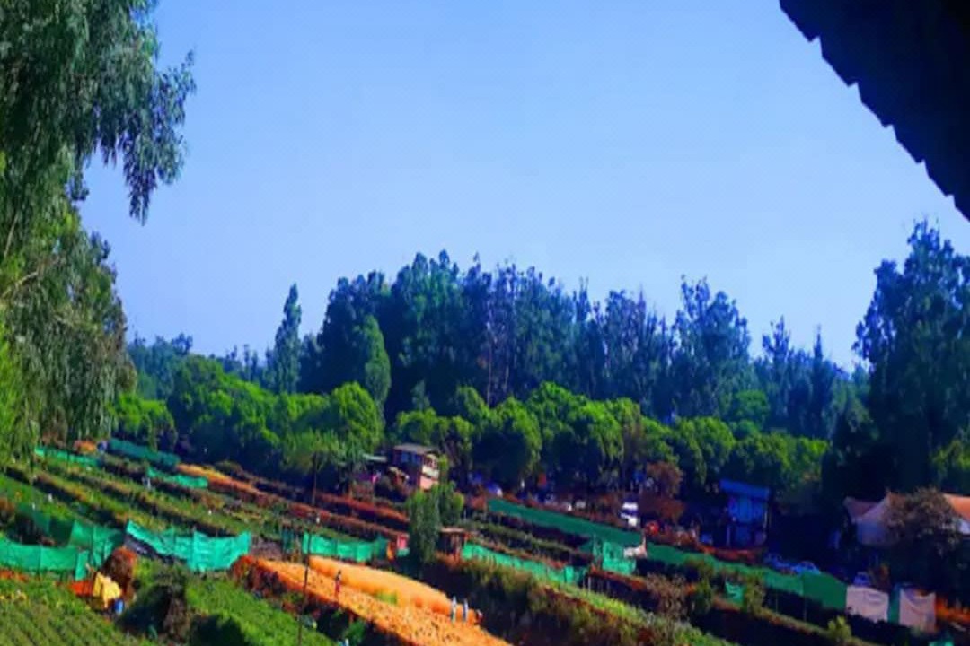 Photo of Outdoor in Gureghar