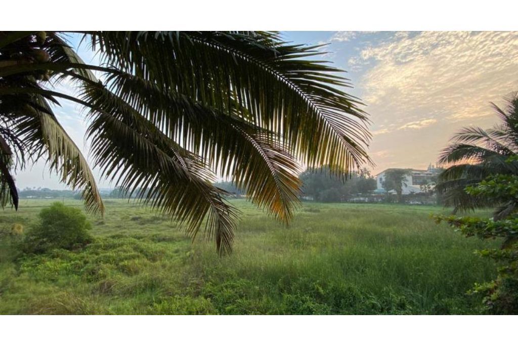 Photo of Others in Candolim