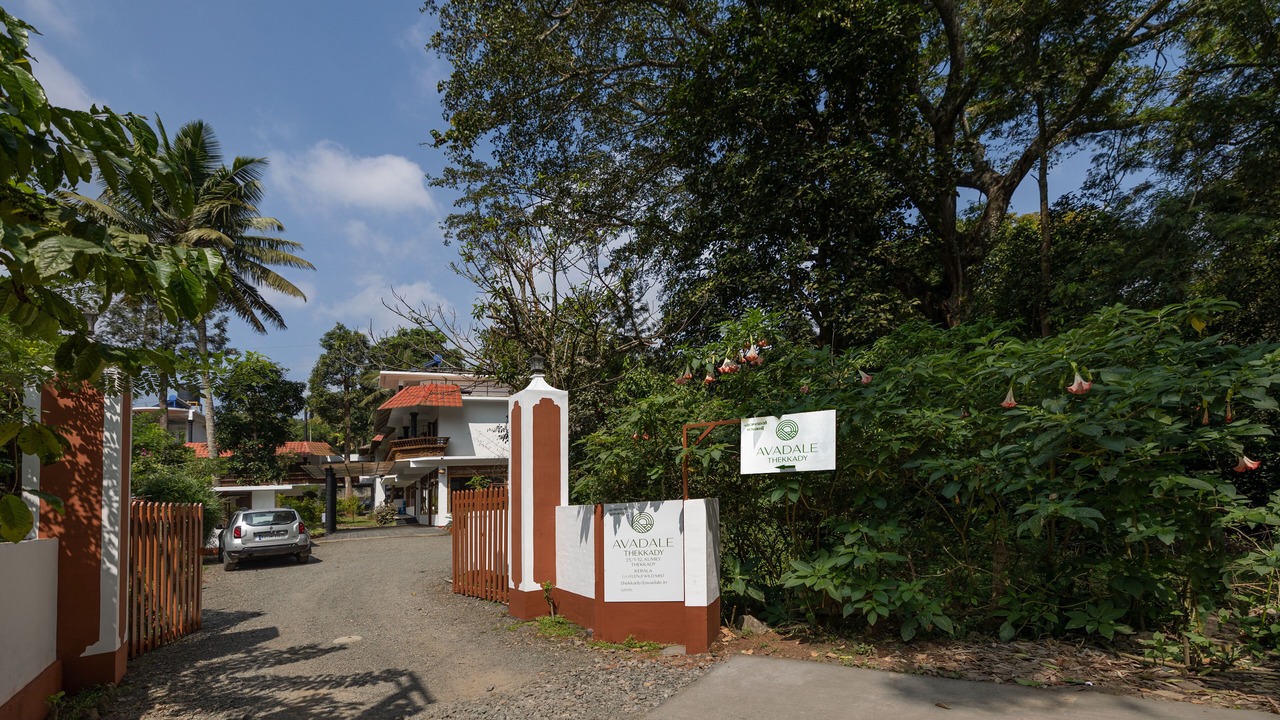 Photo of Outdoor in Kumily
