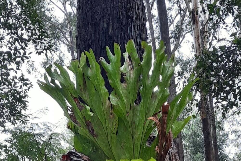 Photo of Outdoor in Rainbow Flat