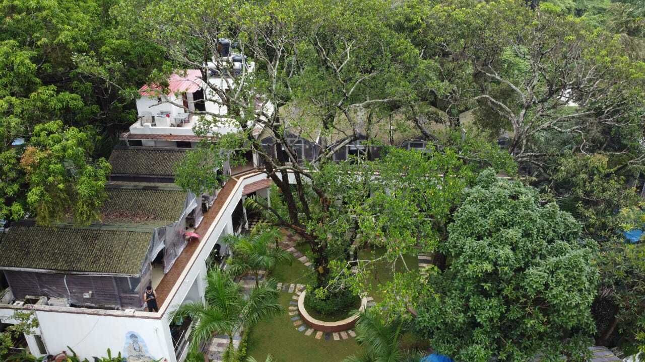 Photo of Outdoor in Arambol