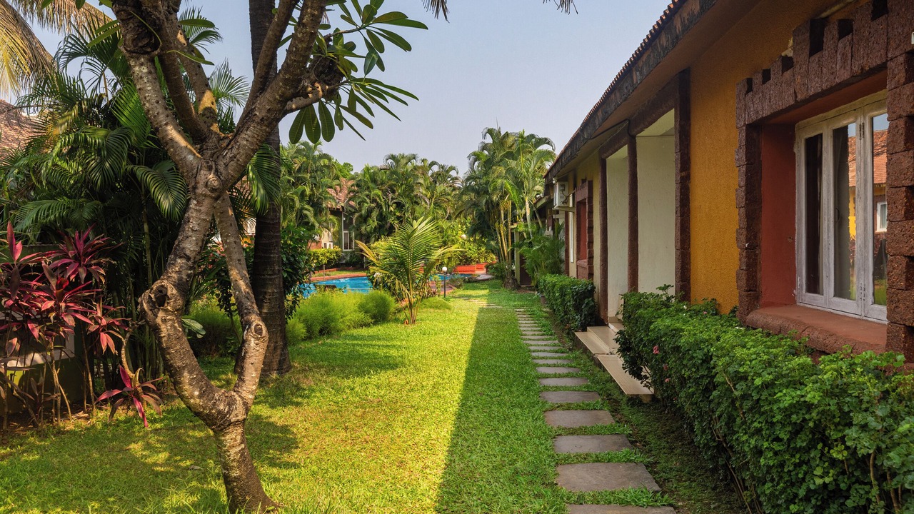 Photo of Outdoor in Anjuna