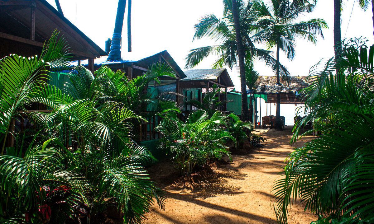 Photo of Outdoor in Agonda